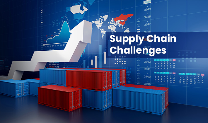 Challenges in the Supply Chain: Ongoing Issues and Disruptions